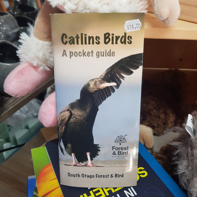Catlins Bird Guide