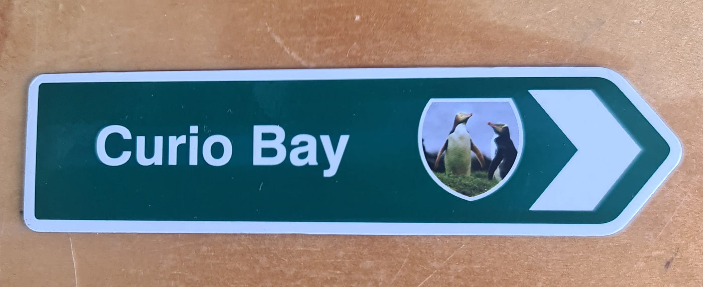 Magnets Place Names CURIO BAY Penguin