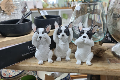 French Bull Dog Set Hear See Speak