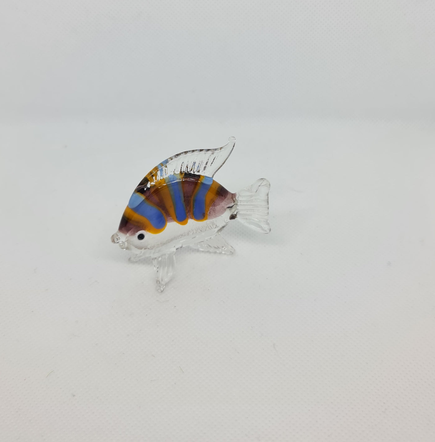 Glass Fish orange Stripe