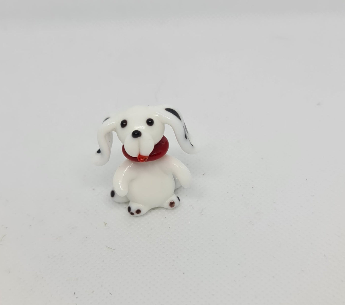 Glass Dog White spots