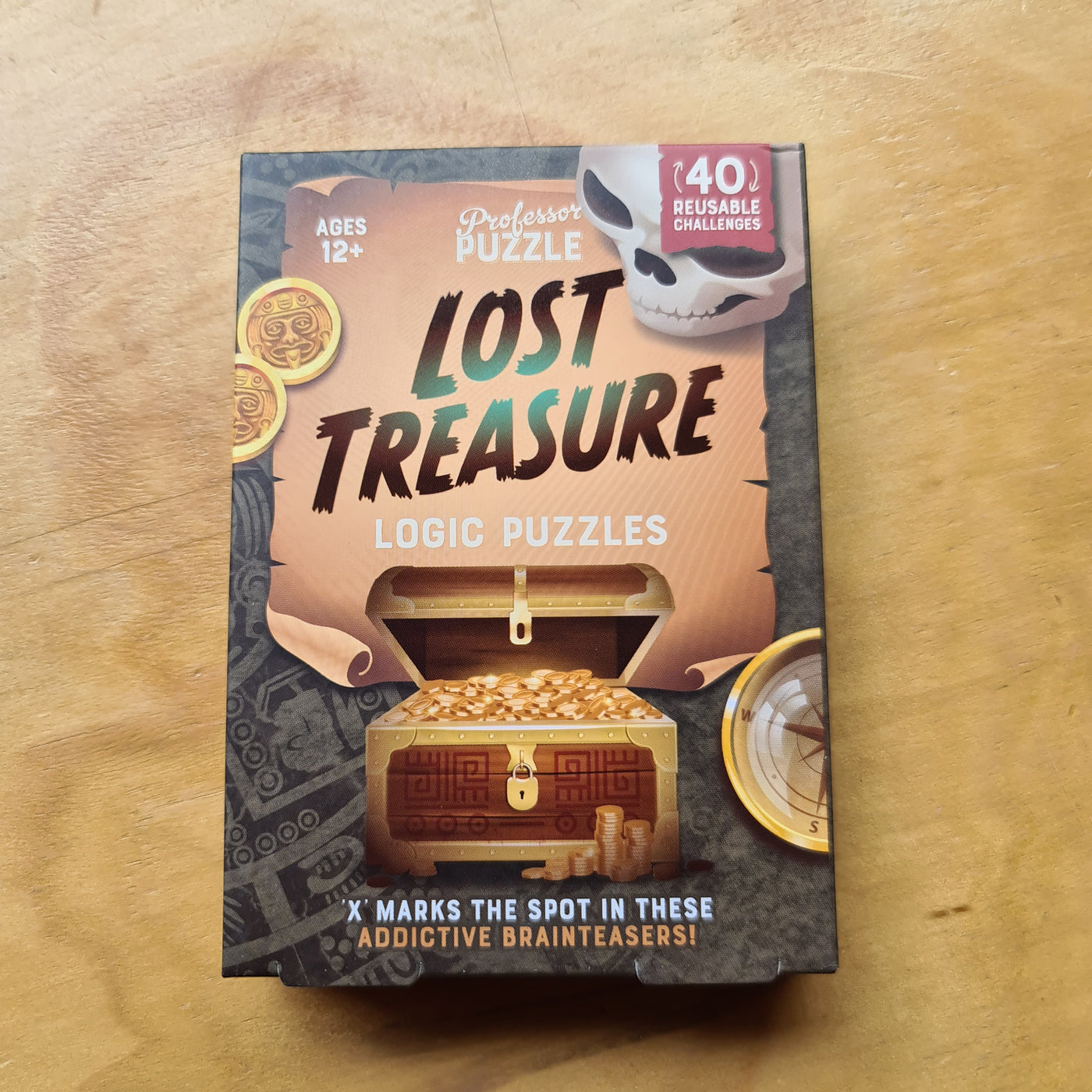 Logic Puzzle Lost Treasure