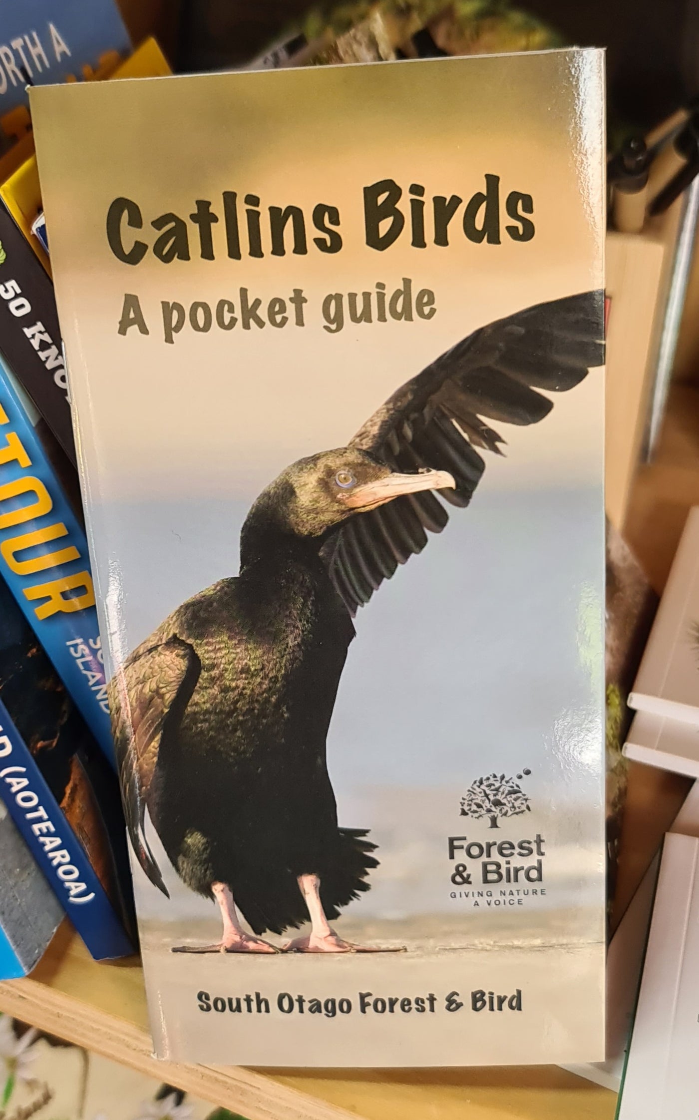 Catlins Bird Guide