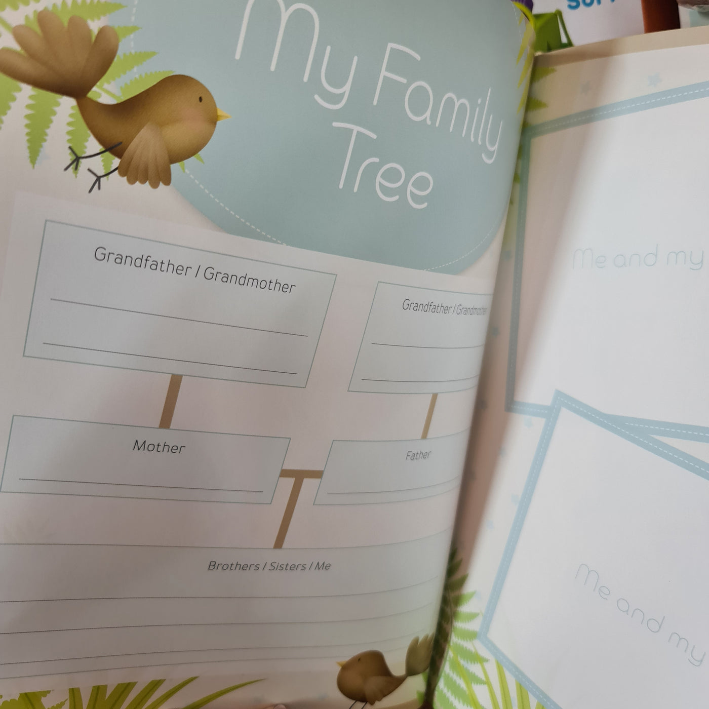 KIWI BABY RECORD BOOK