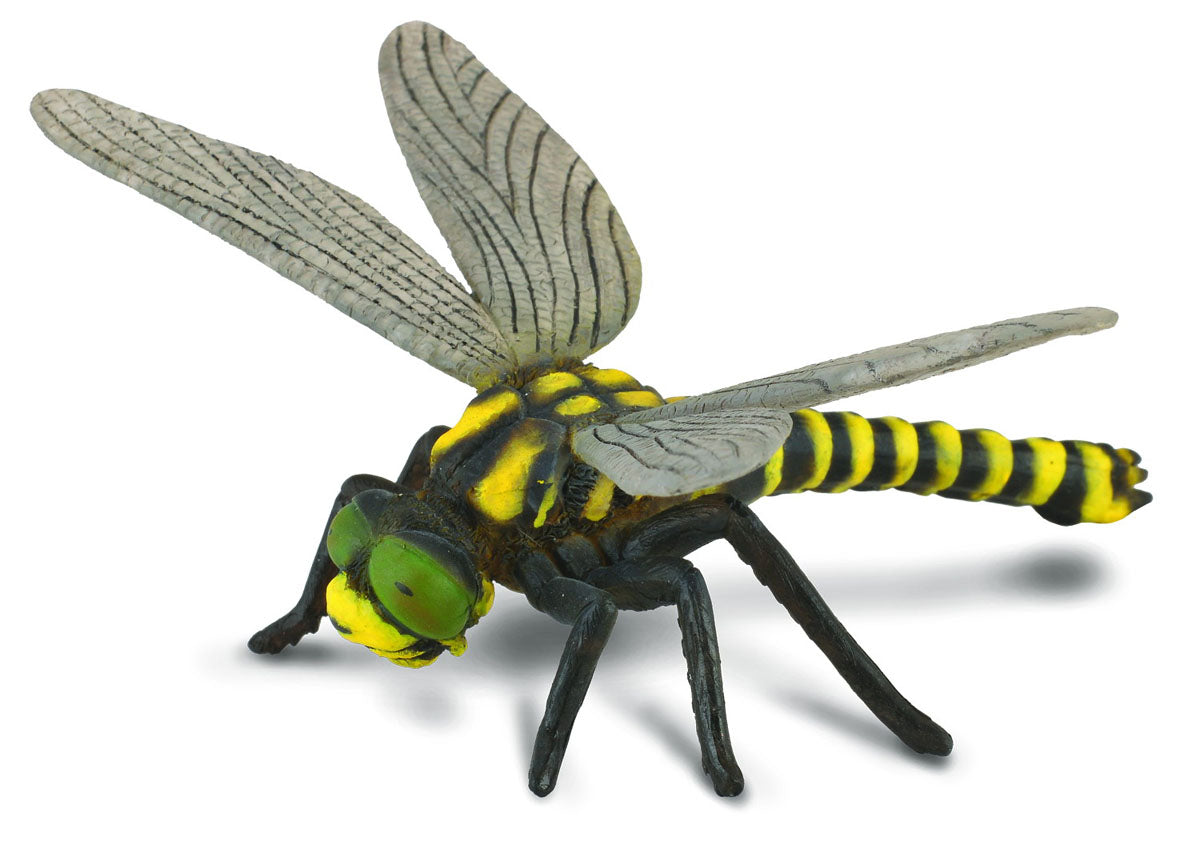 COLLECTA Dragonfly