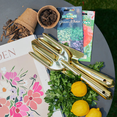 GARDEN TOOL SET 2 PIECE GOLD
