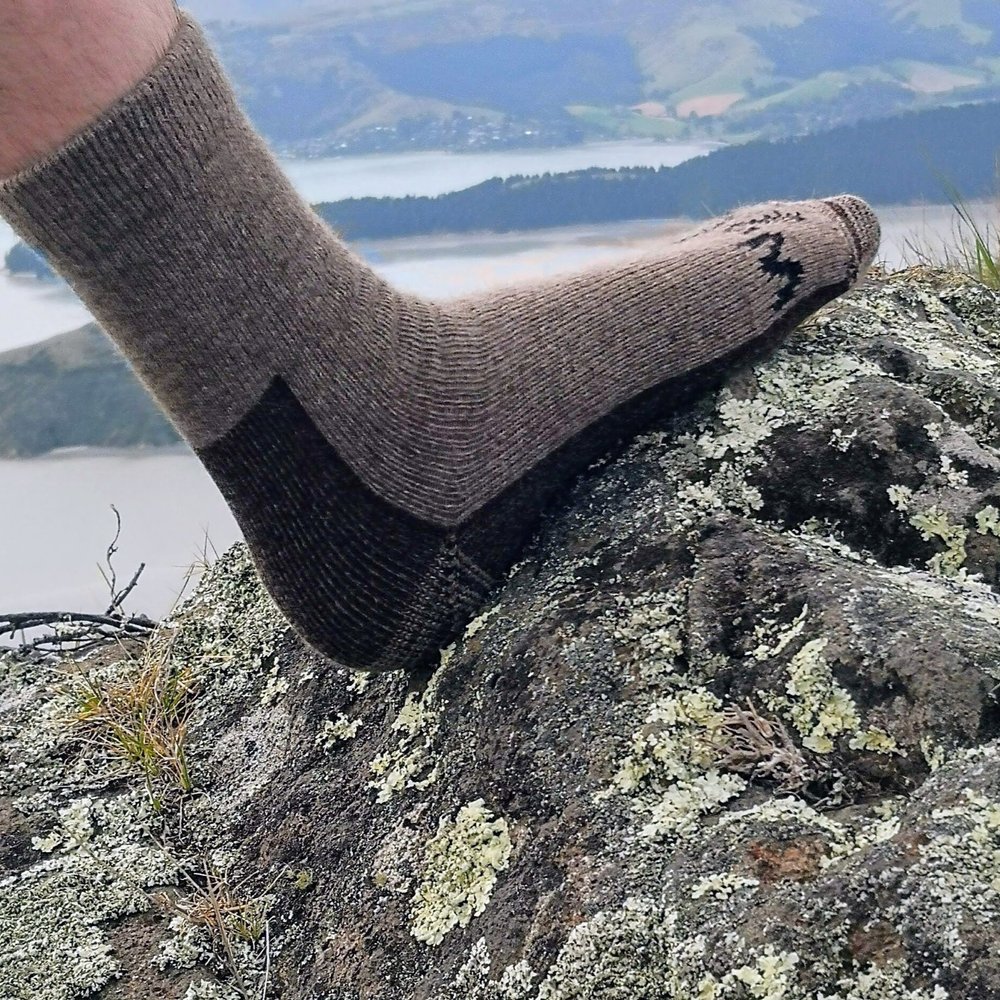 Wyld Casual Possum Socks