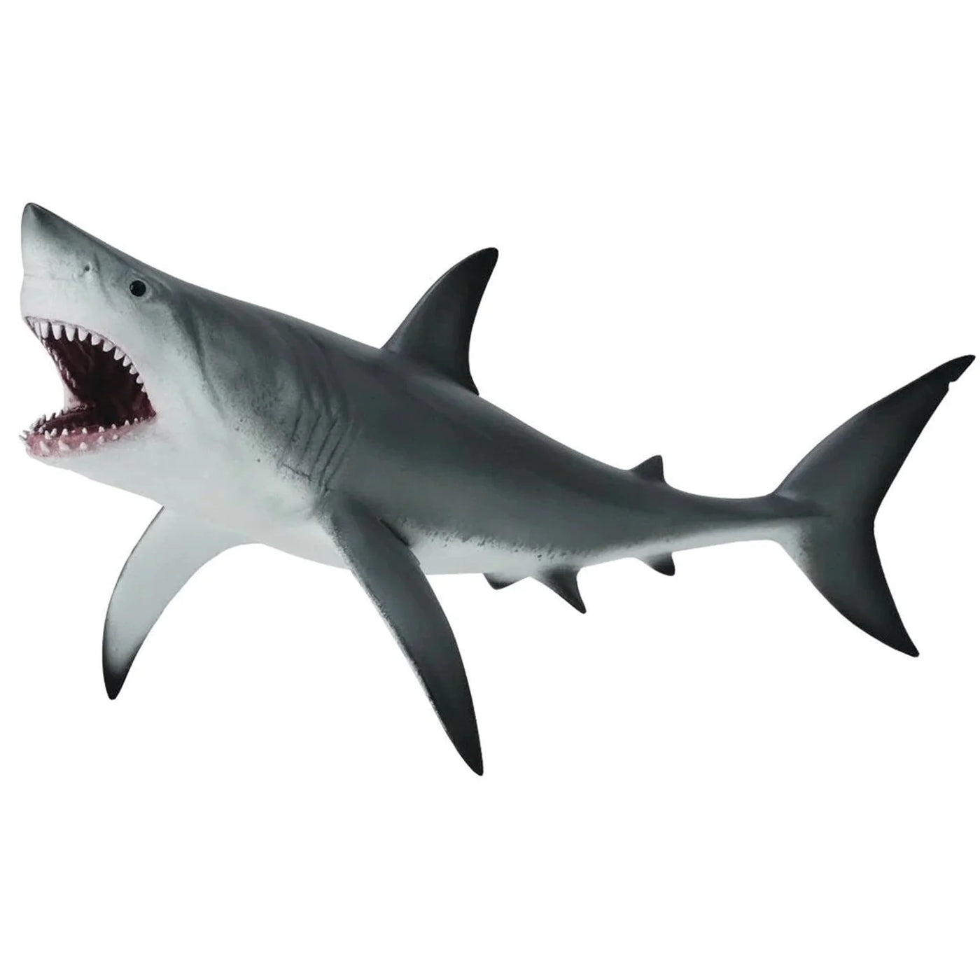 COLLECTA  Great White Shark