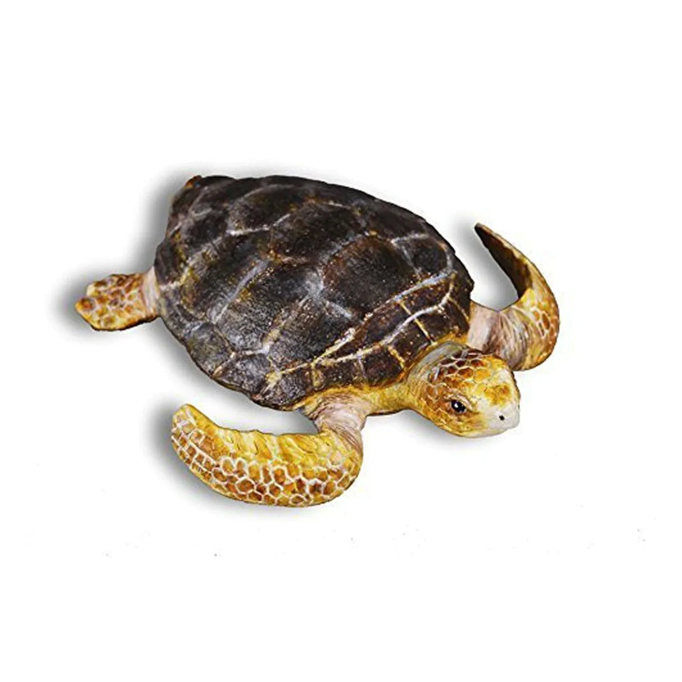 COLLECTA Loggerhead turtle