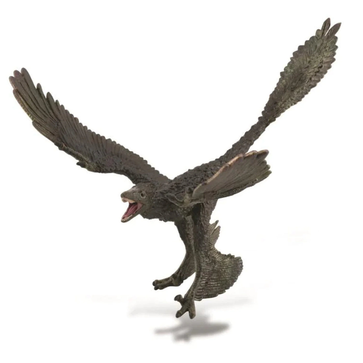 COLLECTA Microraptor