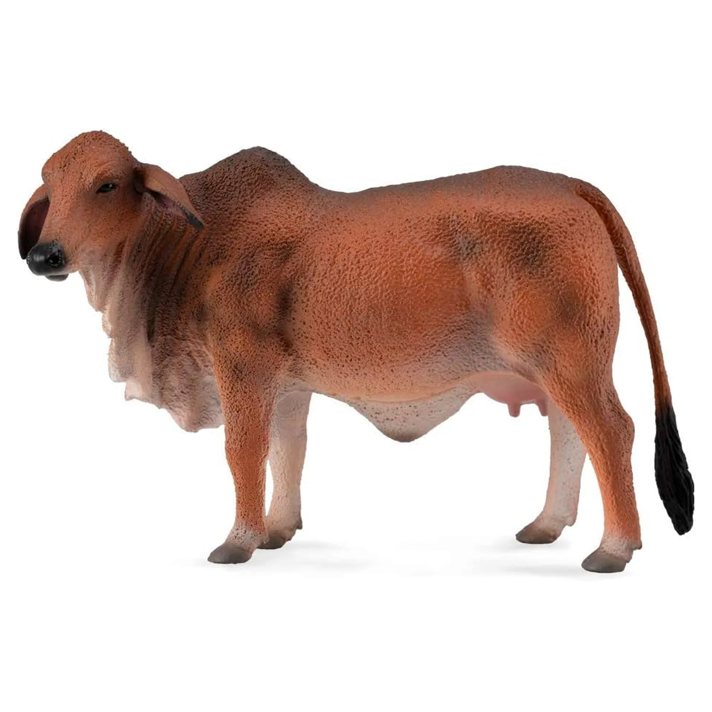 COLLECTA Brahman Cow