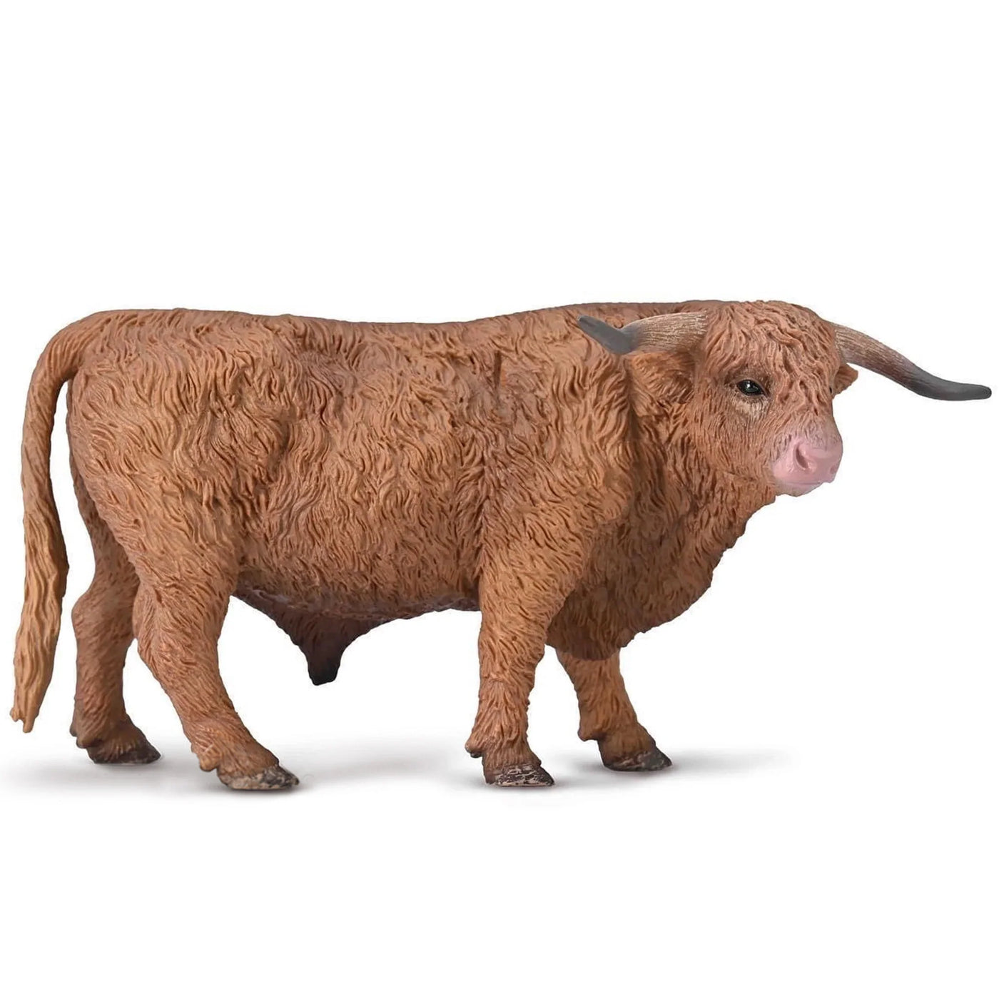 COLLECTA  highland bull