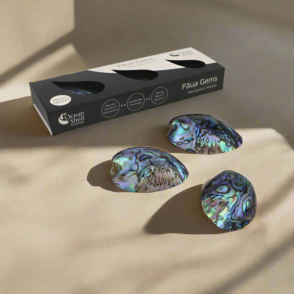 NZ PAUA GEMS 3 in a box