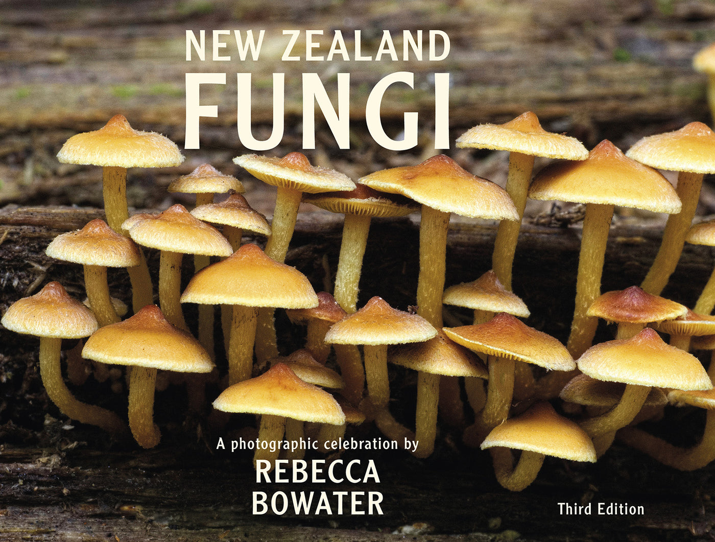 Fungi Of New Zealand 3rd Edition