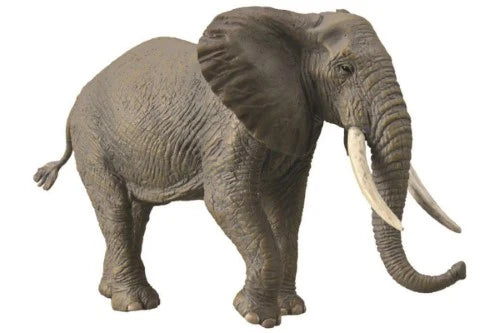 COLLECTA  African Bush Elephant XL