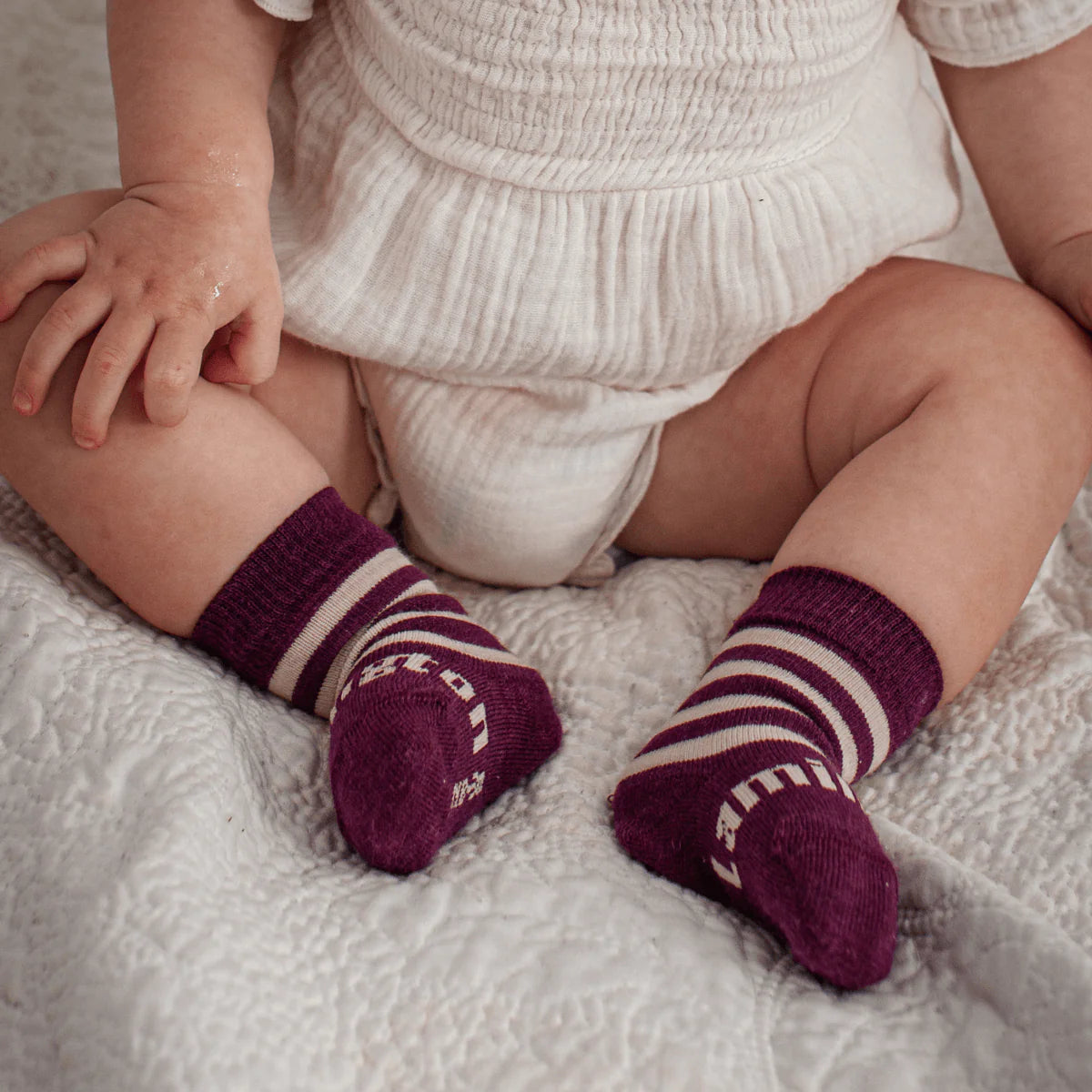 Lamington Socks Infant Crew PLUM