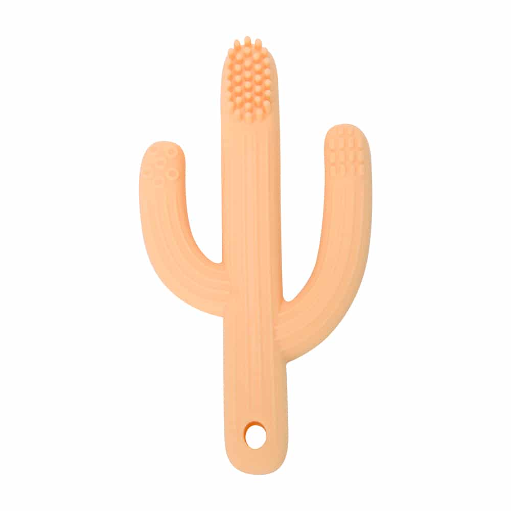 Annabel Trends Silicone Cactus Teether