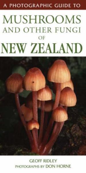 Photo Guide To Mushrooms and Fungi