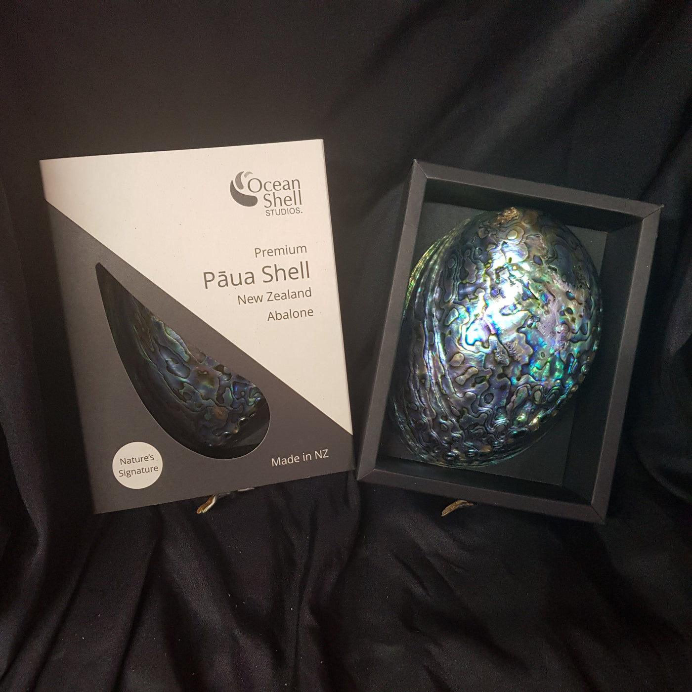 Paua Shell Gift Box