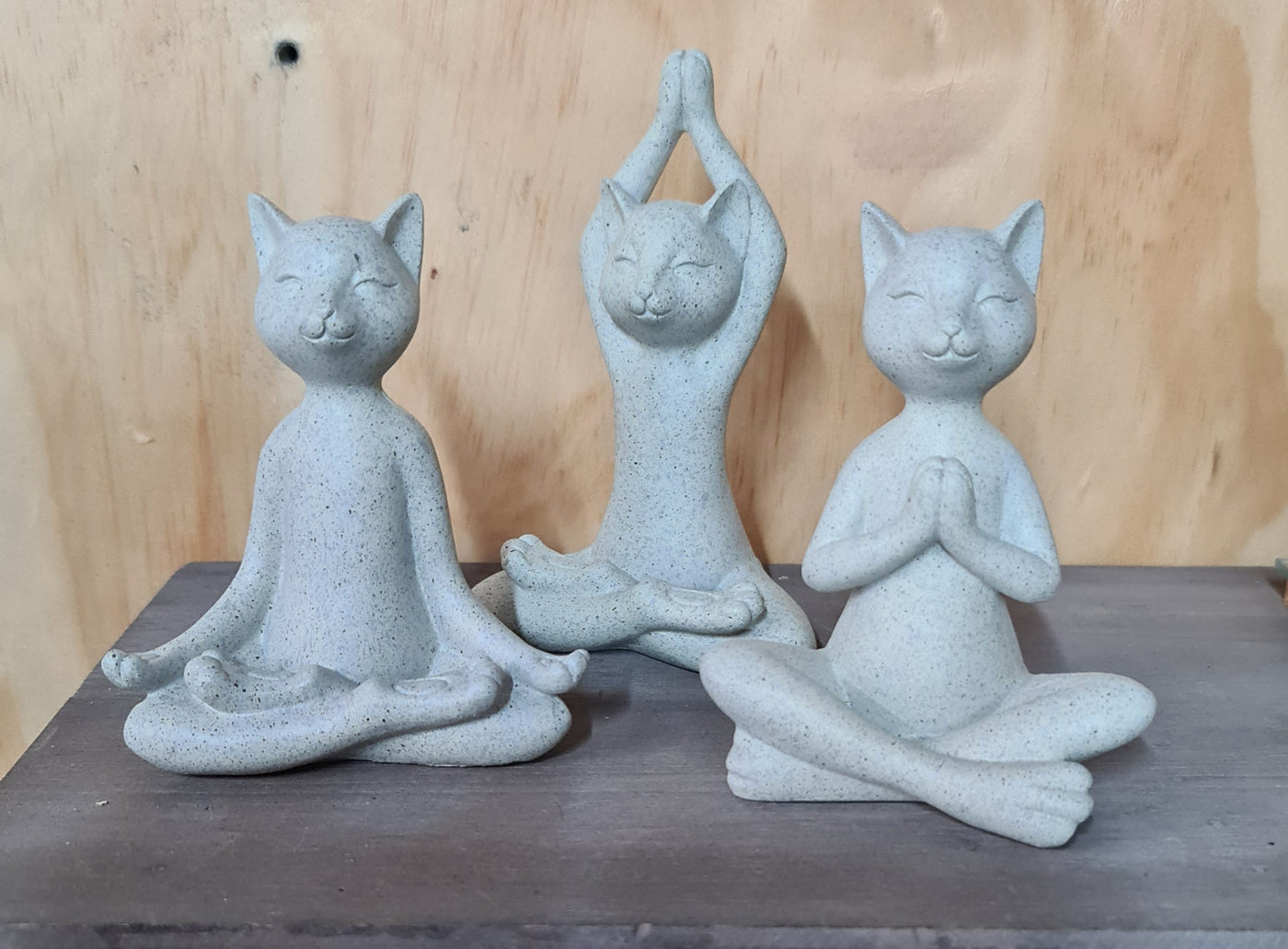 YOGA Cats