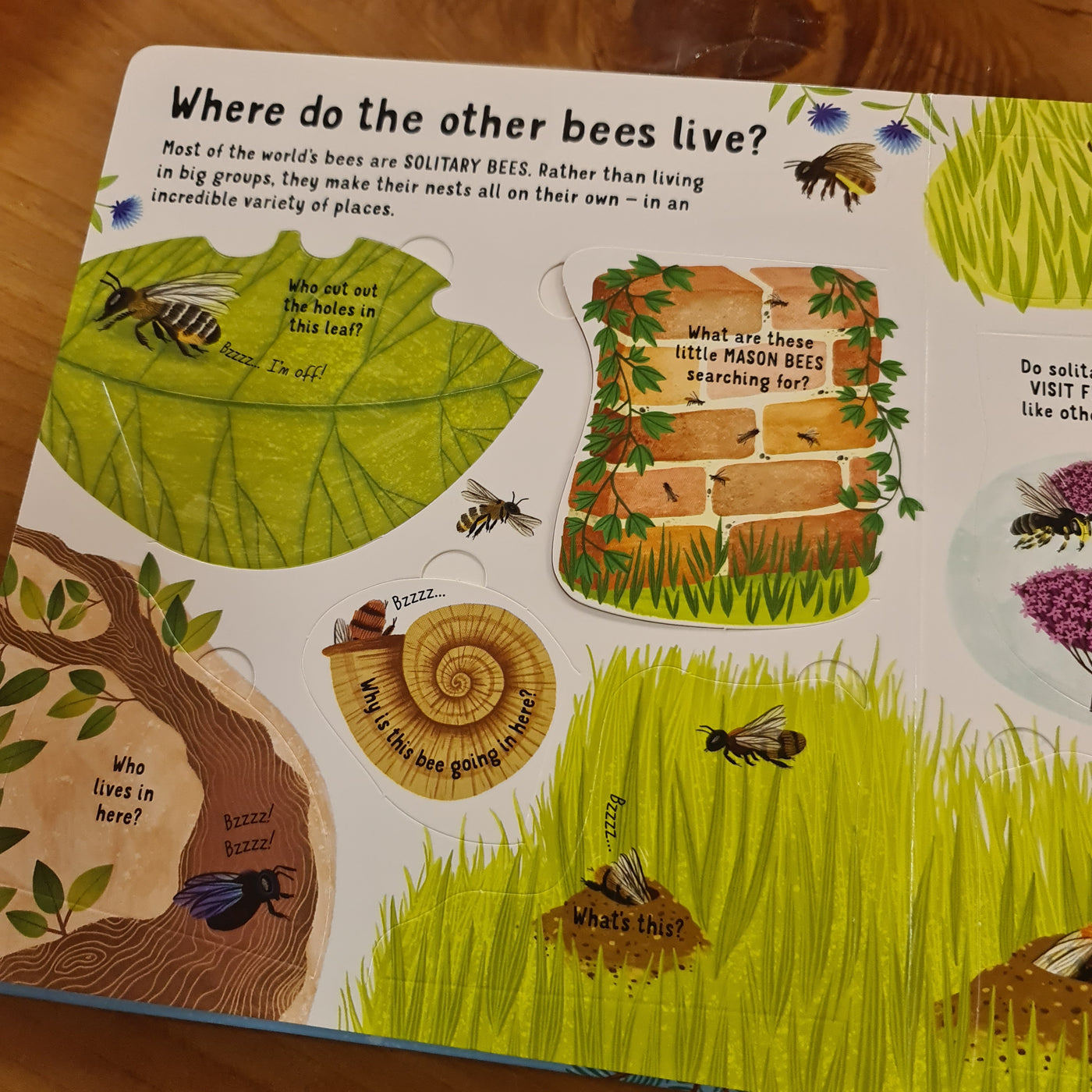 The World Of BEES
