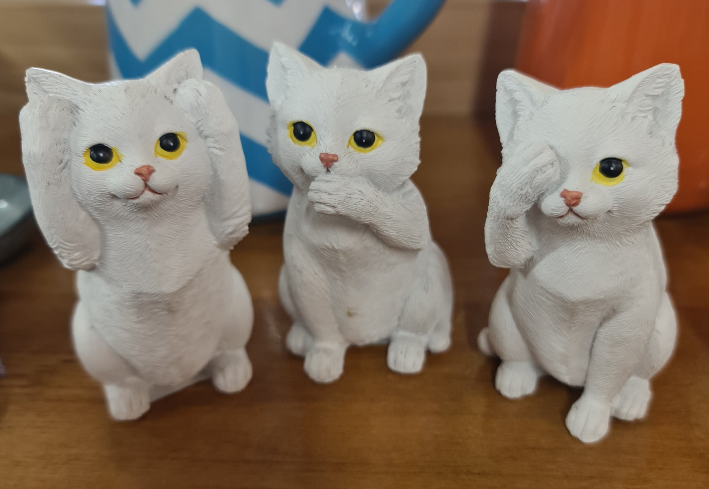 CAT  SET 3