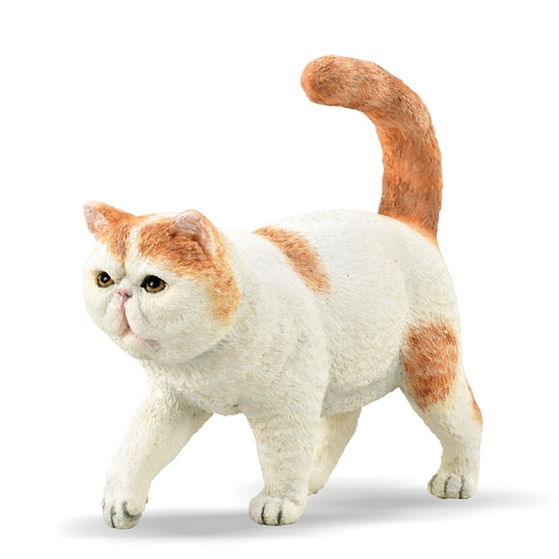 COLLECTA Exotic Shorthair Cat  S