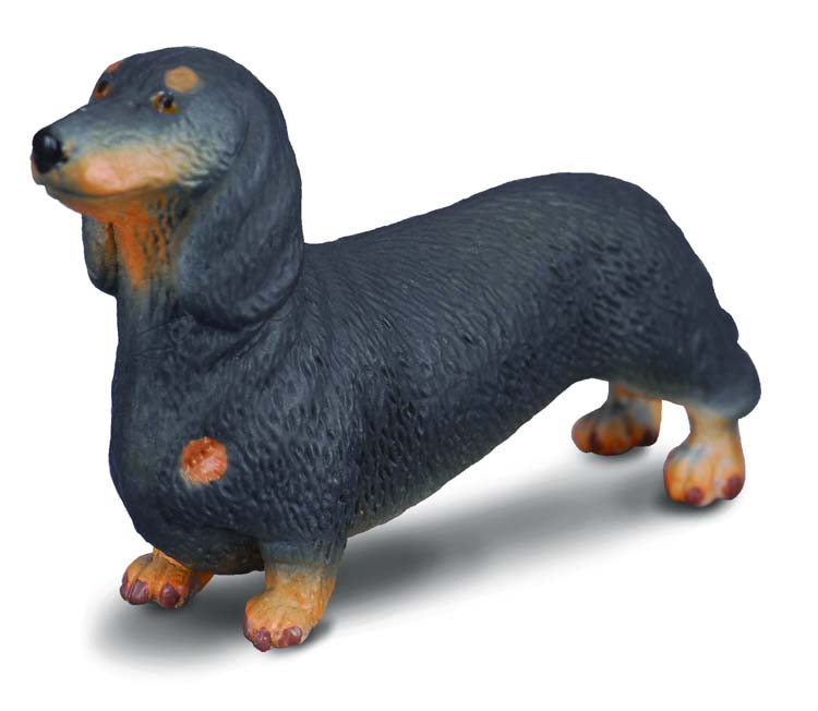 COLLECTA Dachshund S