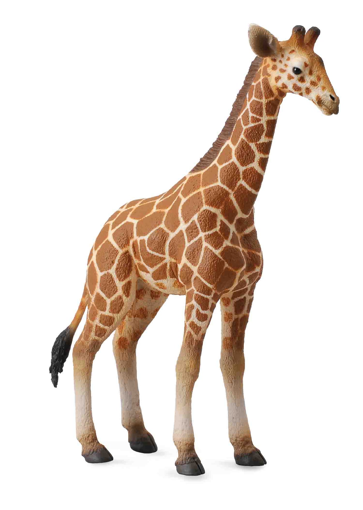 COLLECTA  Reticulated Giraffe Calf