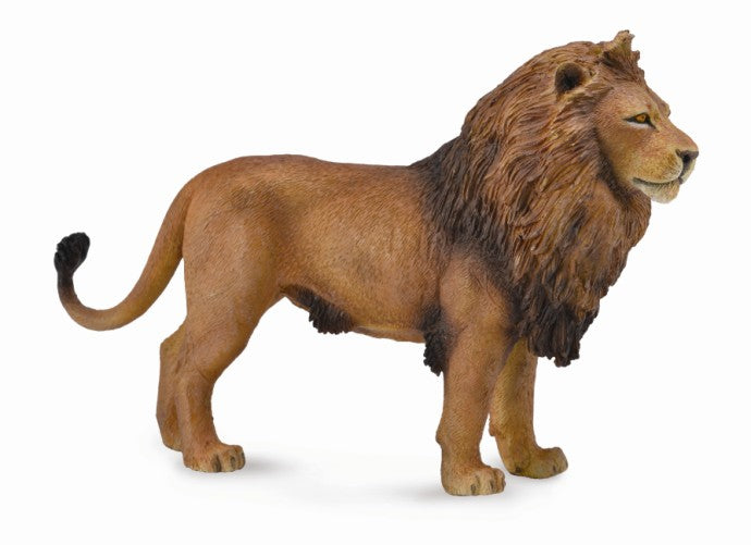COLLECTA Africian Lion L