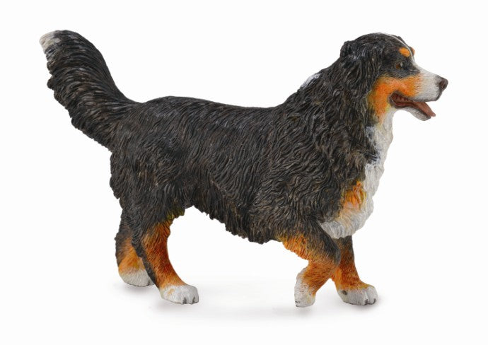 COLLECTA  Bernese Mountain Dog L