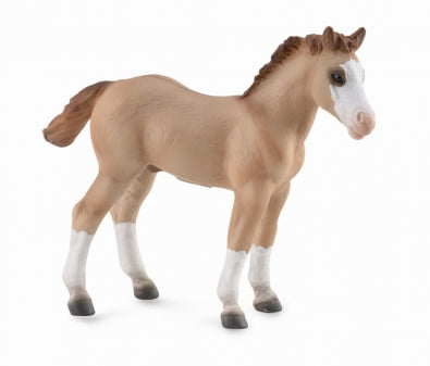 COLLECTA Quarter Horse Foal Red Dun Figurine M