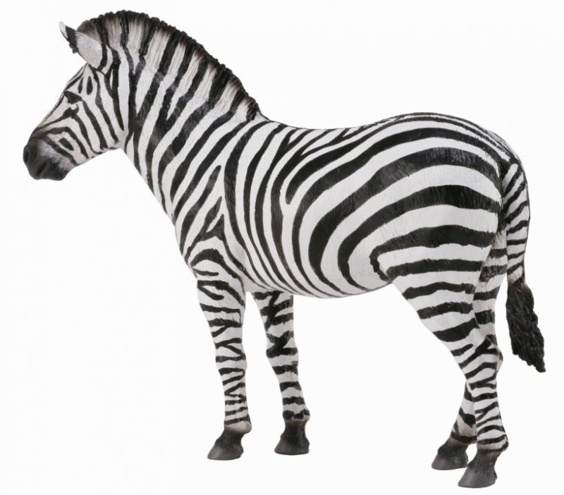 COLLECTA  Zebra Common L