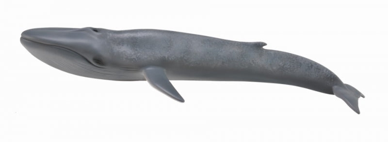 COLLECTA XL Blue Whale