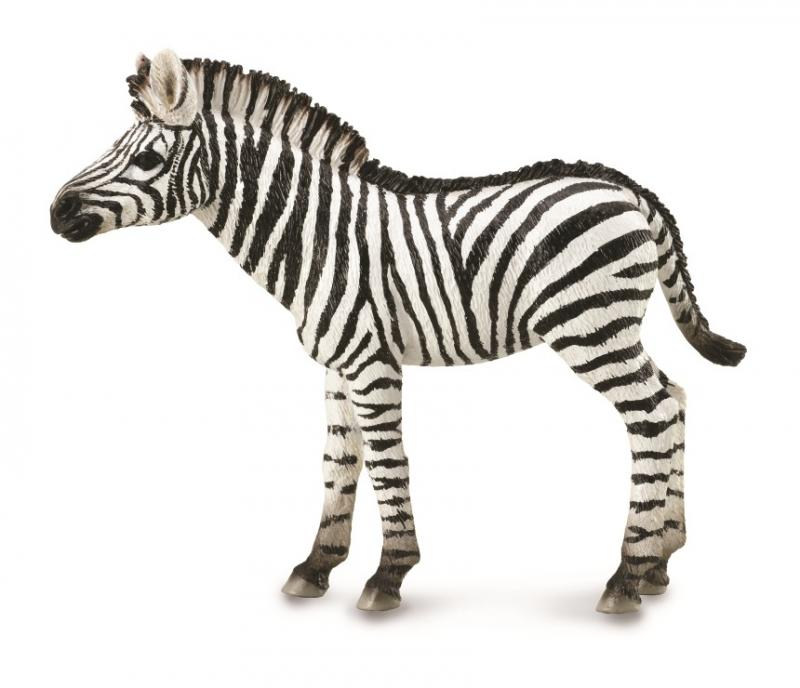 COLLECTA Zebra Foal M