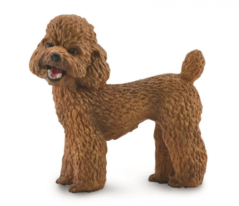 COLLECTA  Poodle M