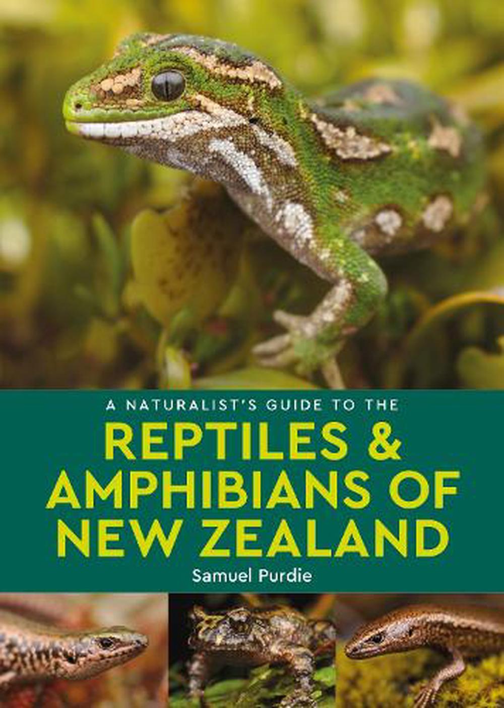 Naturalists Guide To Reptiles & Amphibians Of NZ