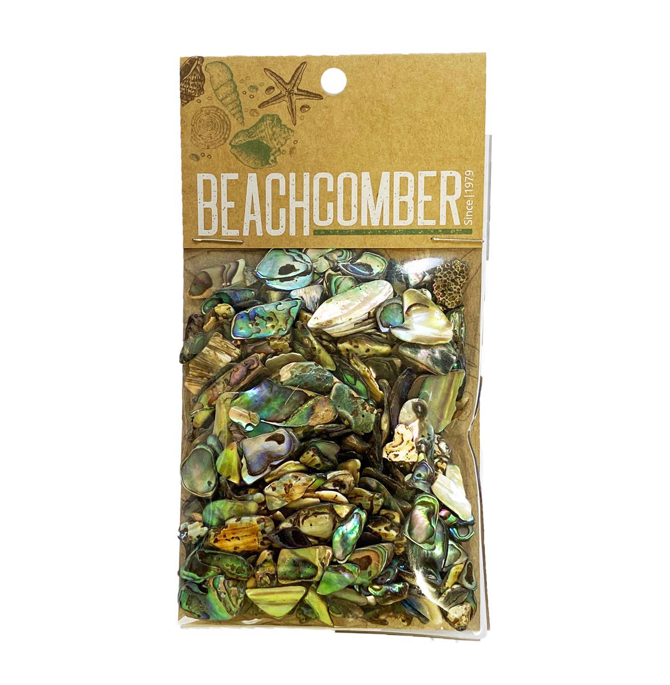 Beachcomber Paua Pieces