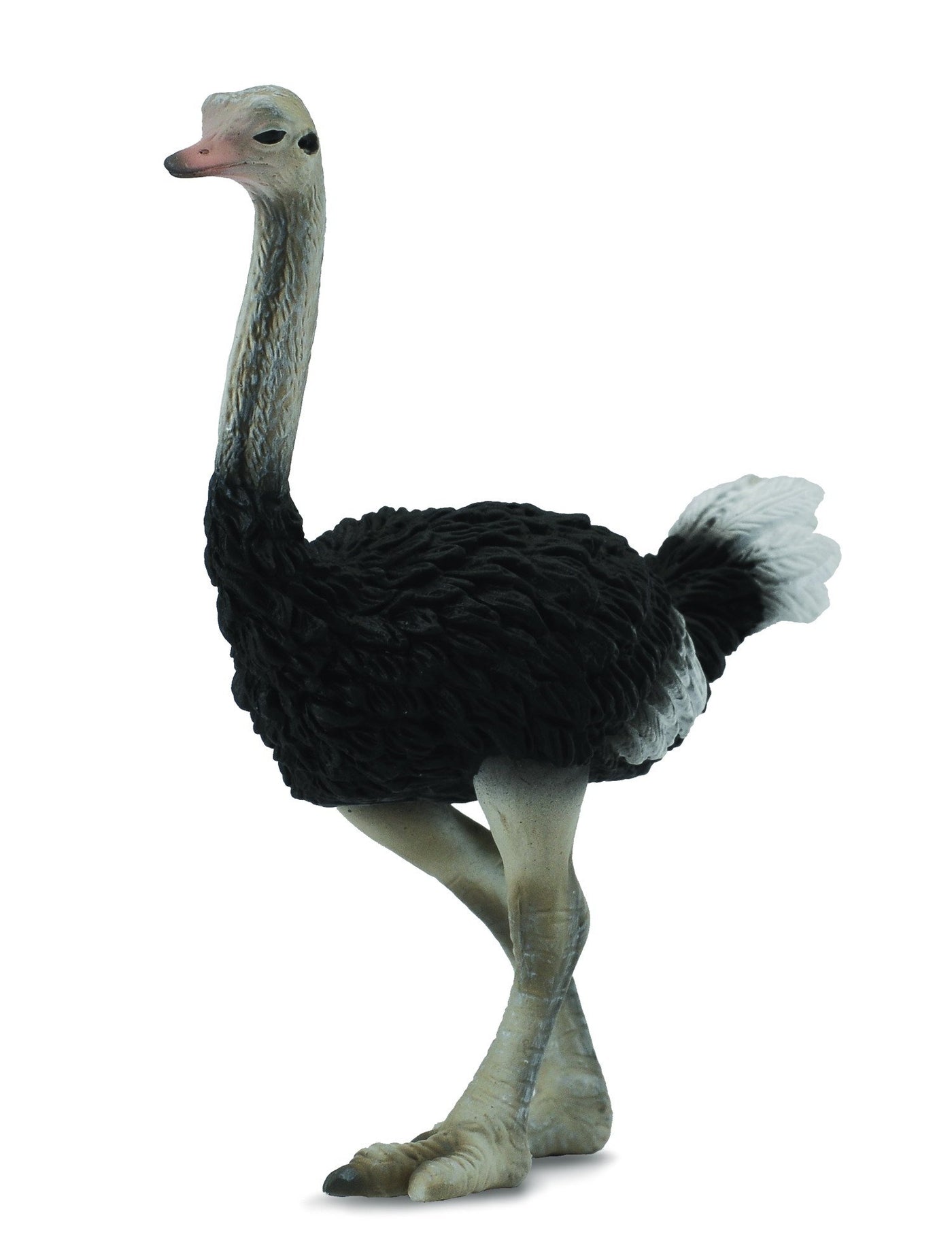 COLLECTA  Ostrich L