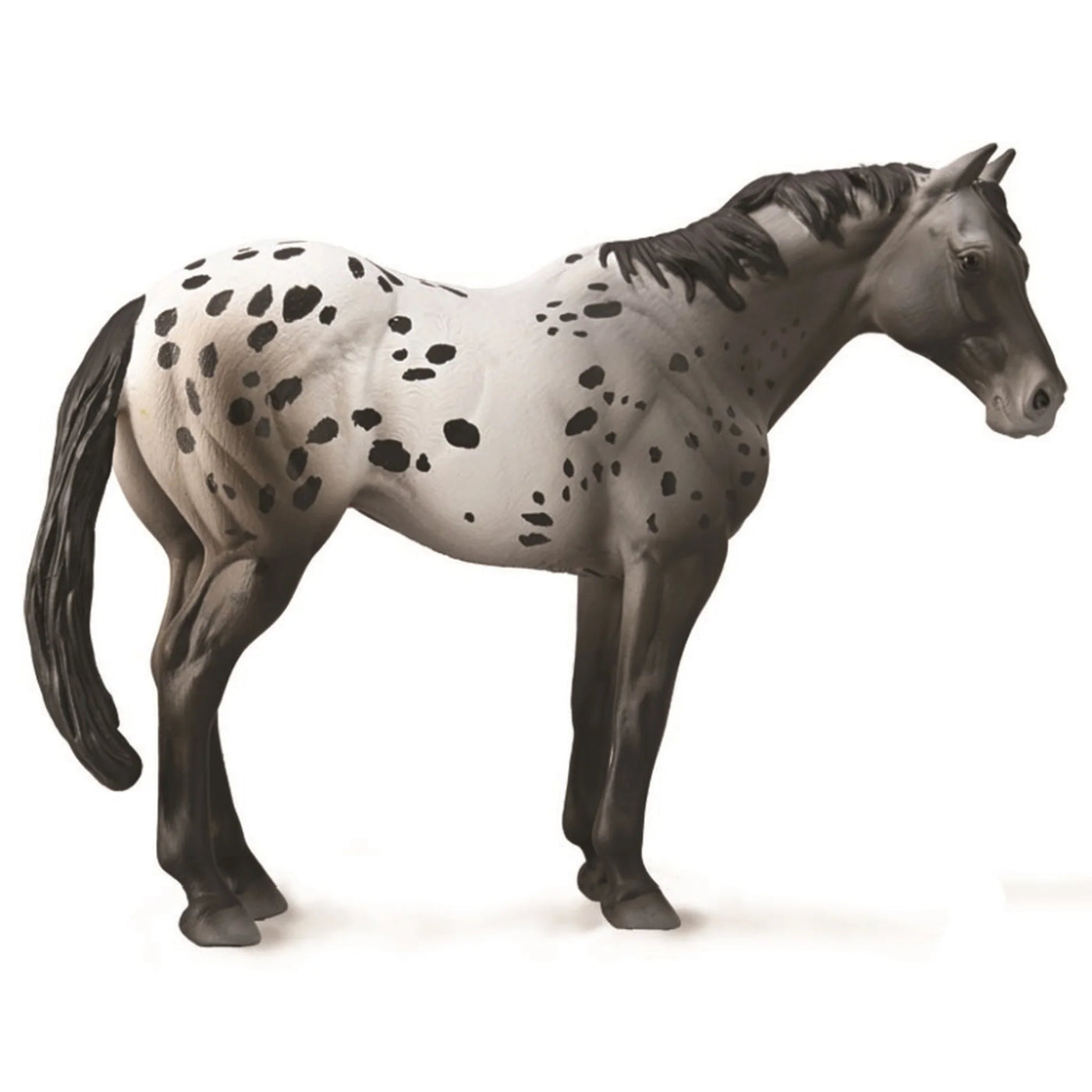 COLLECTA  BLUE ROAN  Appaloosa  Horse Figure XL