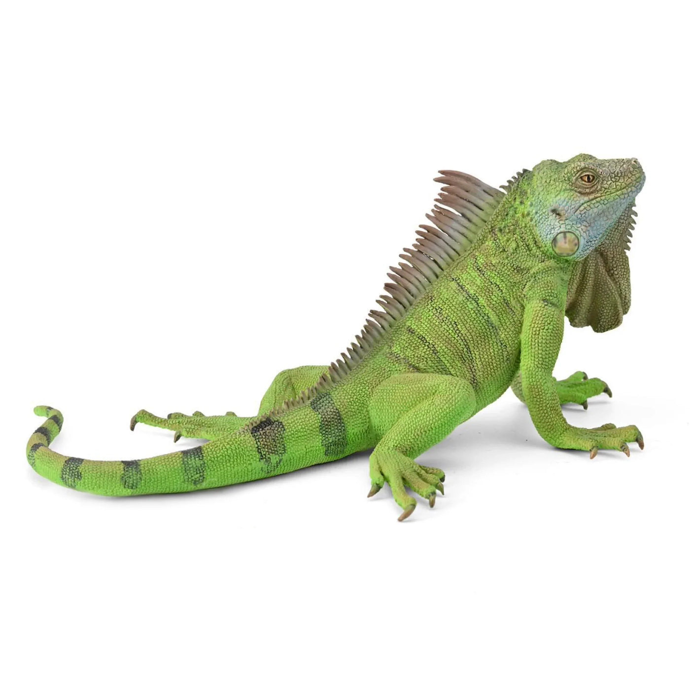 COLLECTA  Iguana XL