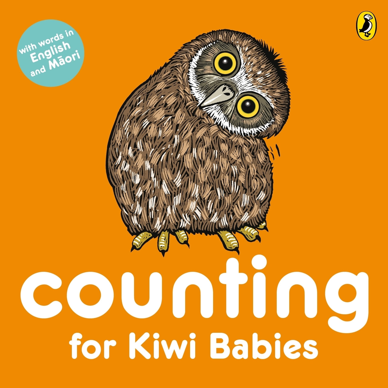 Counting For Babies