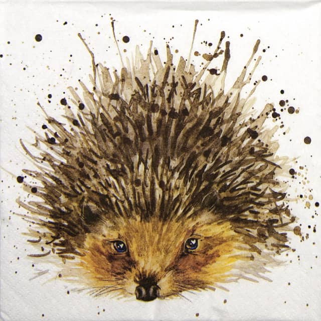 Luncheon Napkin CUTE HEDGEHOG