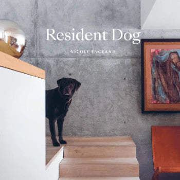 Resident DOG