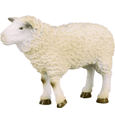 COLLECTA Sheep  Figurine M