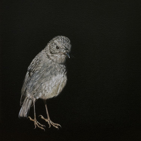 The Trusting Toutouwai   Notecard Framed