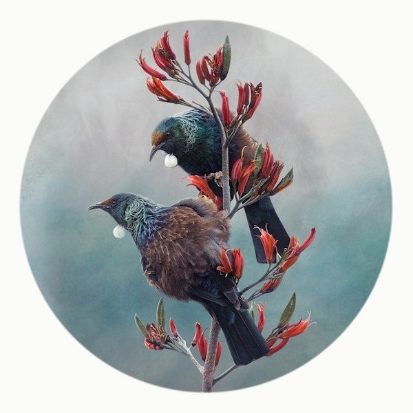 TUI DUET  Notecard Framed