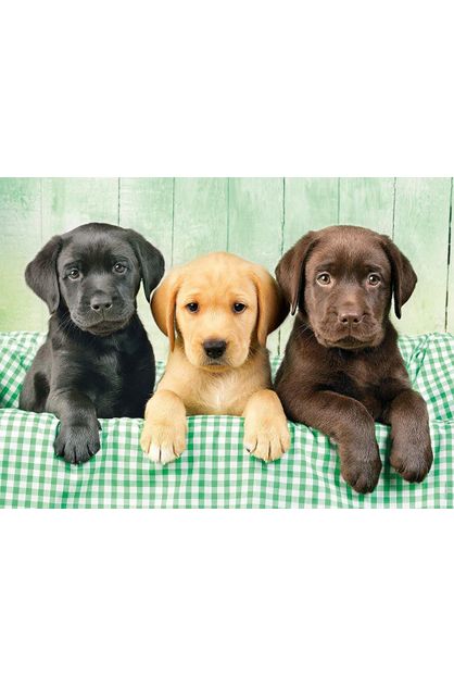 Puzzle Three LABS 1000pc